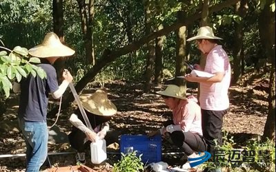 地方撷英|厦门：酷暑锻铁军 艰苦铸能力