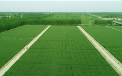  全国高标准农田建设规划（2021-2030年）